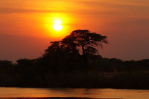 Expatriation en Cote d'Ivoire