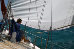 Témoignage d’une année en mer Témoignage d'une année en mer
